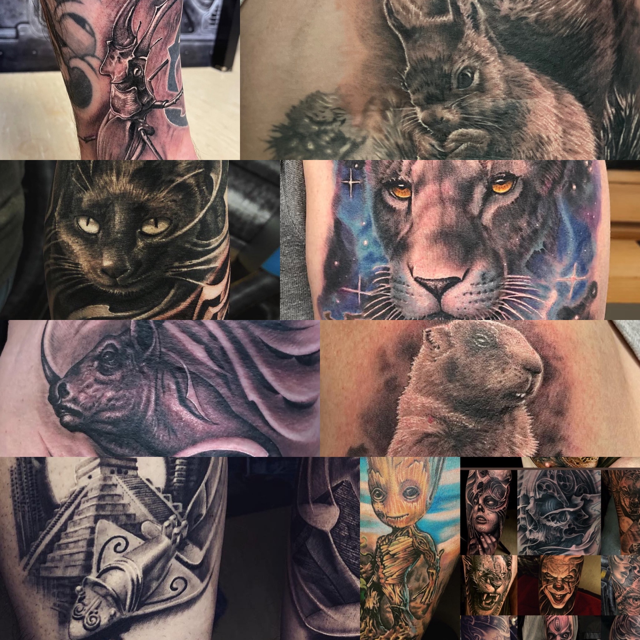 Tattoo-Galerie von Floyd Varesi: Eine Zusammenstellung verschiedener Motive, darunter realistische Tiertattoos (Katze, Panther, Murmeltier, Nashorn, Eichhörnchen), präkolumbianische Artefakte, Baby Groot und düstere Dark-Art-Porträts.